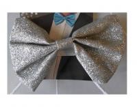 B529022 silber Damen Herren Glimmerfliege Party