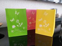 Ri150483 pink-gelb-grün Licht Tüten 3er Set
