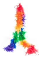 O45390 Regenbogen Federboa Boa Federstola ca.1,80m lang ca.65g